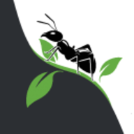 AntCheck.info logo